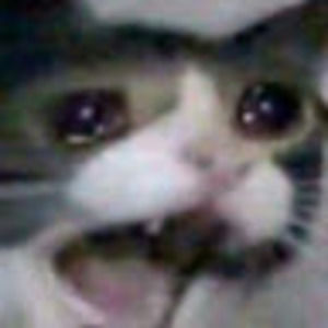 Meet your Posher, Flora mae